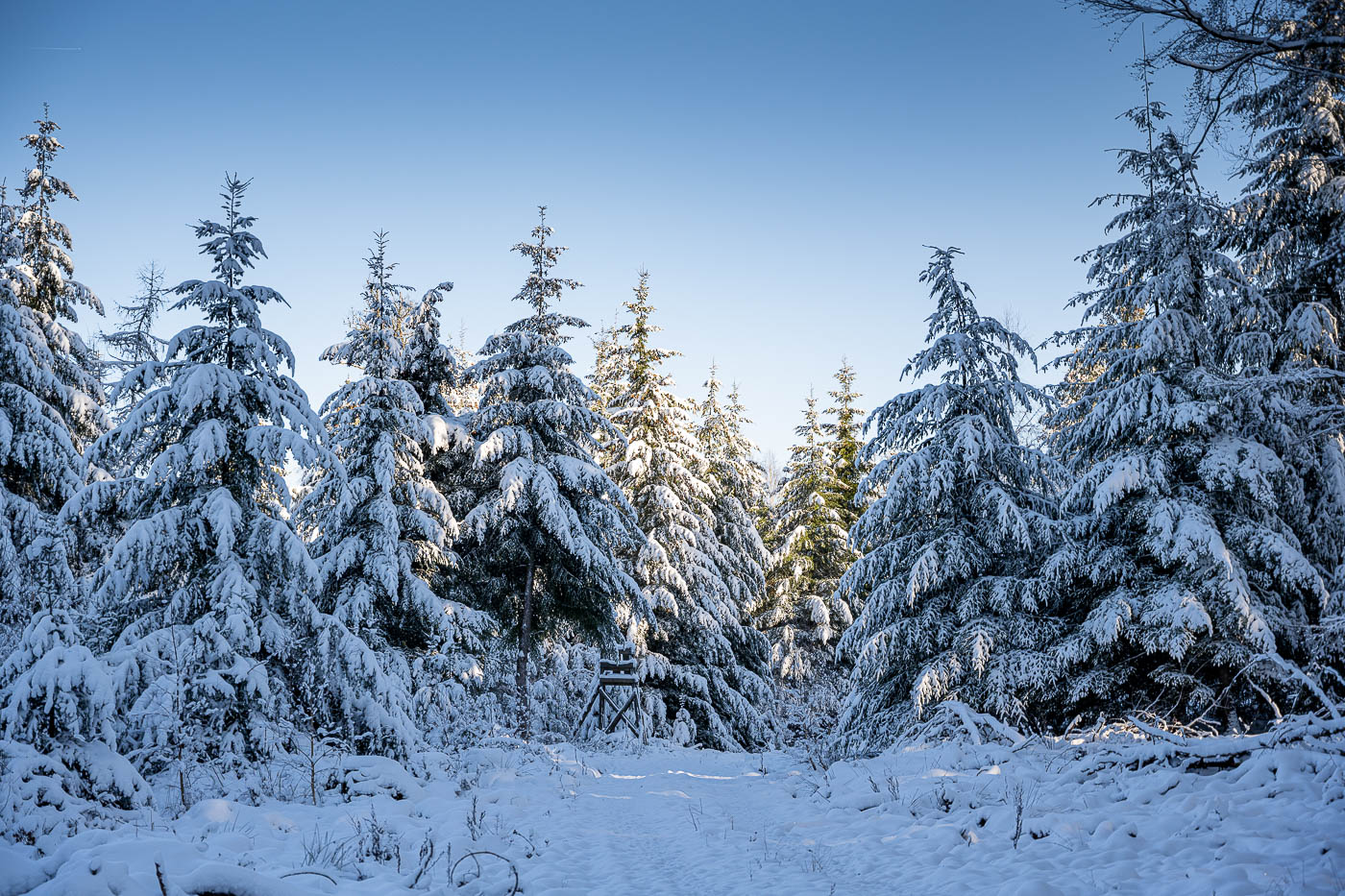 Odenwald bei Waldbrunn