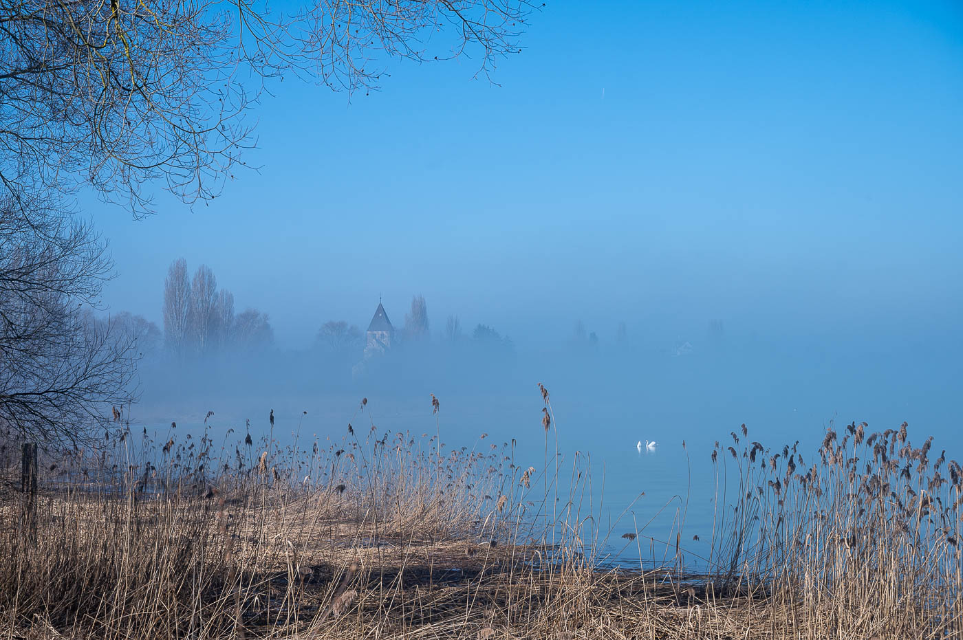 Bodensee - Insel Reichenau