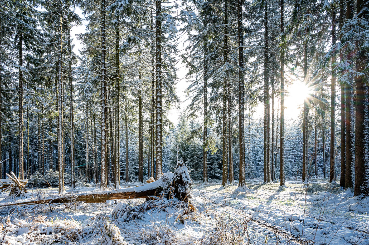 Winter im Odenwald